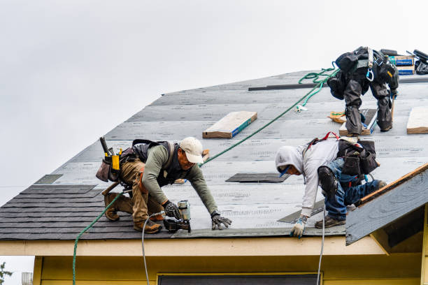 Professional Gutter Installation technician working in Willis, TX